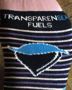 close up of blue, black and white stripped Transparensa Fuels socks